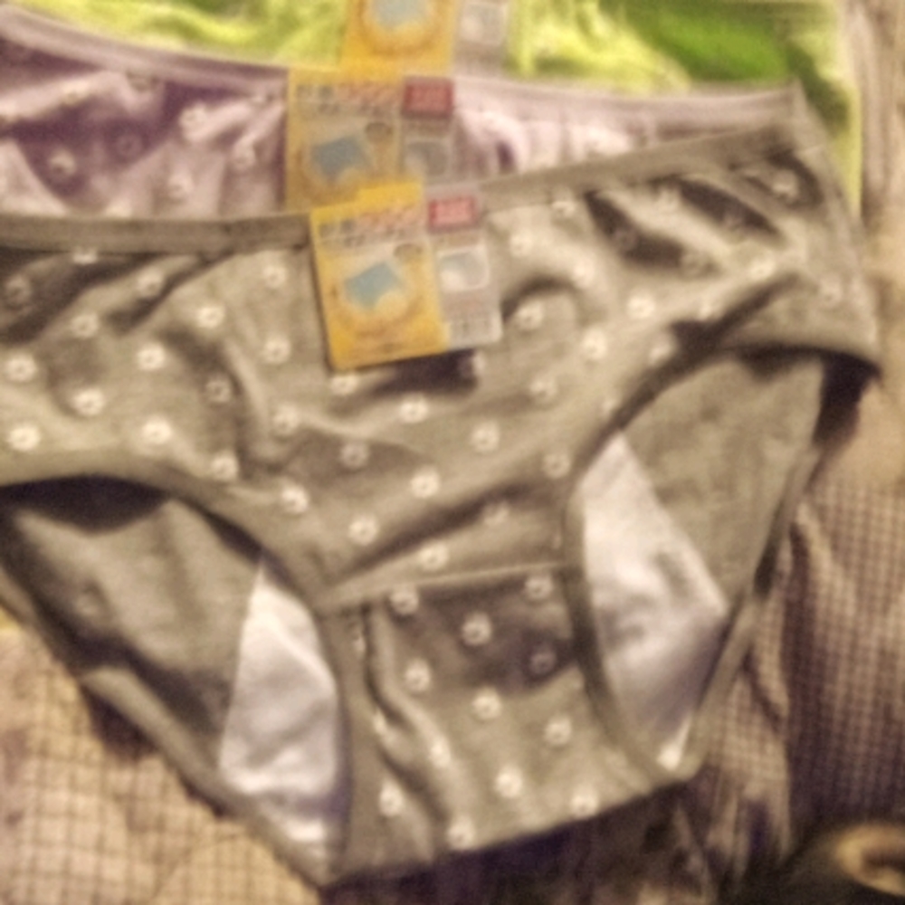 Period Panties. Do Not Leak.